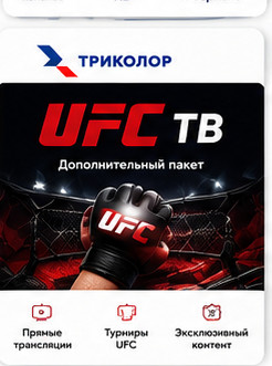 UFC ТВ